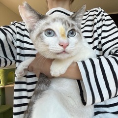 ブルーアイが綺麗☆生後4ヶ月男の子
