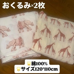 赤ちゃん用品5点
まとめ売り(歩行器・おくるみ・抱っこ紐)男の子💙の画像