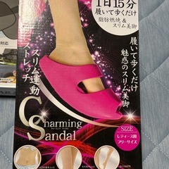 シェードとサンダルの画像