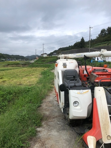 (取引中)R7年度新米　玄米10kg