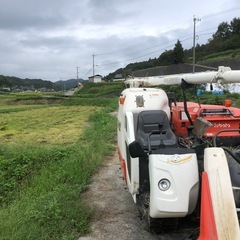 (取引中)R7年度新米　玄米10kgの画像