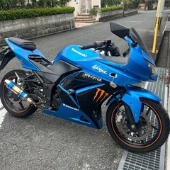 ninja250R
の画像