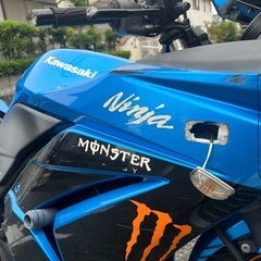 ninja250R
の画像