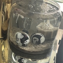 水槽割れない大容量　砂利水換えバケツスポイトなどセットの画像