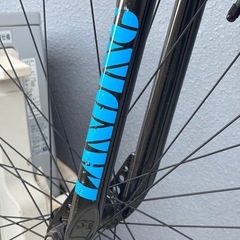 BIG FLYER BMX 29インチ　2018年モデルの画像