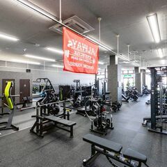 【福岡市東区】ジムに通っていなくてもOK♪ビジター利用できるマンツーマントレーニング🌿今なら初回1,000円OFF✨の画像