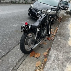 YAMAHA sr400の画像