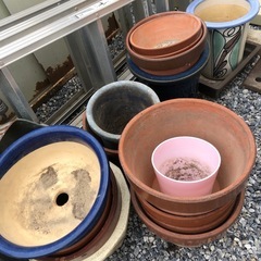 植木鉢の画像