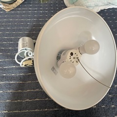 ニトリ　電気の画像