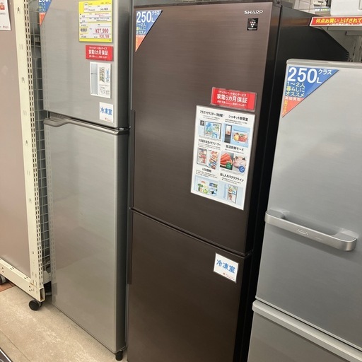 ✨プラズマクラスター✨SHARP/シャープ✨2023年製✨280L冷蔵庫✨SJ