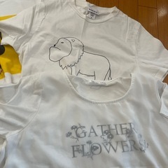 ホワイト系Ｔシャツの画像
