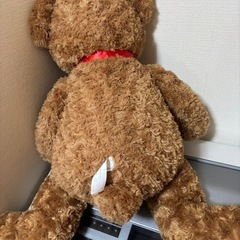 ティディベア🧸の画像