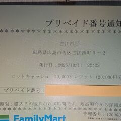 お早めに！　早期購入歓迎　ビットキャッシュ　２万円分を18000円　2025/10/11購入　有効期限2035/10/10までの画像