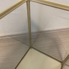 GEX水槽の画像