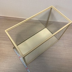 GEX水槽の画像