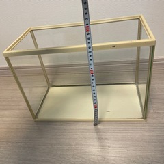 GEX水槽の画像