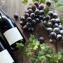 Tech Connect エンジニアワイン交流会 #1