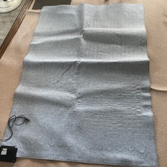 ニトリのホットカーペット　品番　NT1.5Jの画像