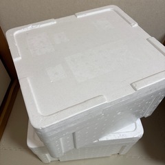 発泡スチロール2箱
セットの画像