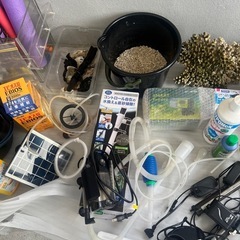 メダカグッズ、園芸用品、等等
の画像