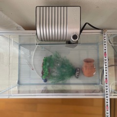 水槽の画像