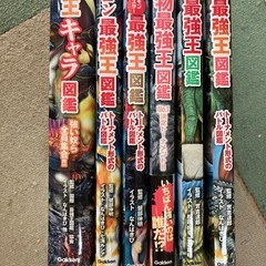 最強王図鑑の画像