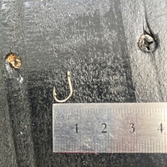 小さい釣り針200本の画像