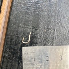 小さい釣り針200本の画像