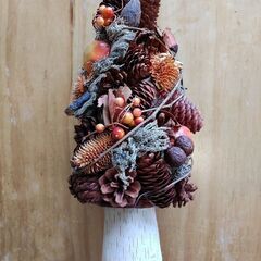 樹の実のツリー🎄の画像