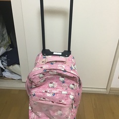 姉が使用していた、ハローキティのキャリーバッグを売ります!!の画像