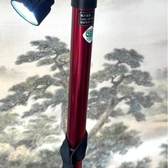 ライト付き杖の画像