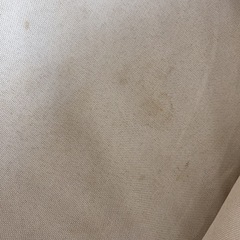 犬用ベッド汚れありの画像
