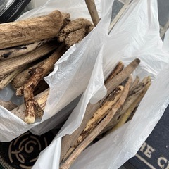 流木☆天然採集☆北海道産！！うみ🌊の画像