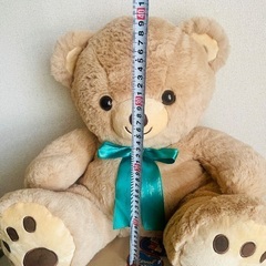 大きなエターナルベア🧸ぬいぐるみの画像