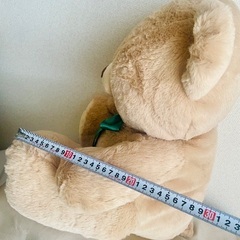 大きなエターナルベア🧸ぬいぐるみの画像