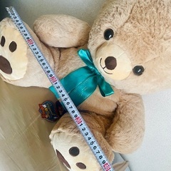 大きなエターナルベア🧸ぬいぐるみの画像