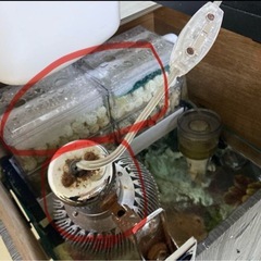 コトブキ　水槽　水槽台　外部フィルター　まとめセットの画像