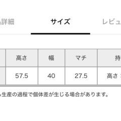 キャリーバッグの画像