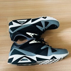 NIKE air structureの画像