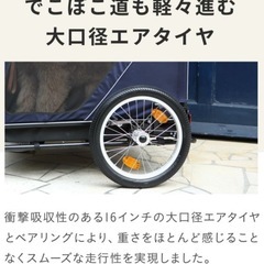 エアバギー　ネストの画像