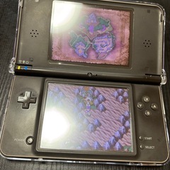 DS ILLの画像