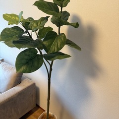 観葉植物　フェイクグリーン　インテリアの画像