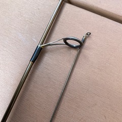トラパラの画像