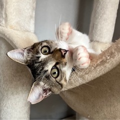 超甘えん坊な男の子です💕