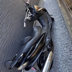 まじですてぃマジェスティの画像