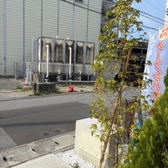 新築の植栽を差し上げます。の画像