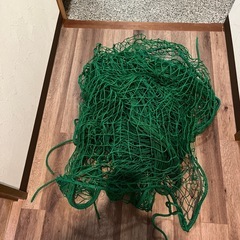 ネットの画像