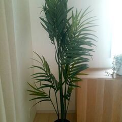 観葉植物フェイク・IKEA製品の画像