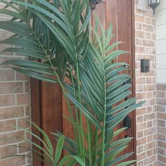 観葉植物フェイク・IKEA製品の画像