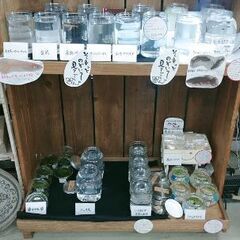 阿形メダカ‼️‼️‼️極上ペア‼️‼️‼️現物出品‼️‼️‼️の画像